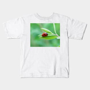 Pretty little red ladybug on a leaf Kids T-Shirt